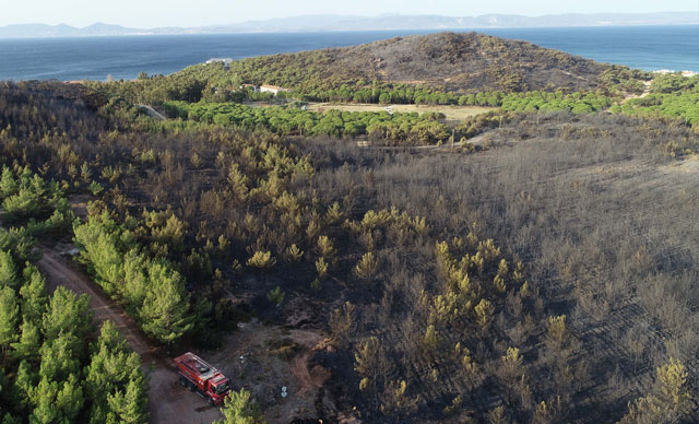Ayvalık’ta 80 hektar ormanlık yandı