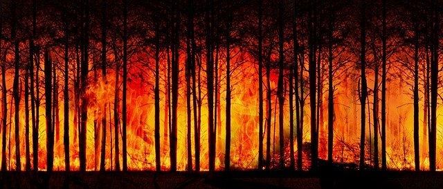 Yangın bölgeleri için ‘mücbir sebep’ ilan edildi