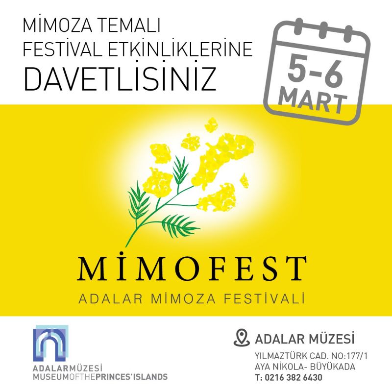 Adalar Mimoza Festivali başlıyor