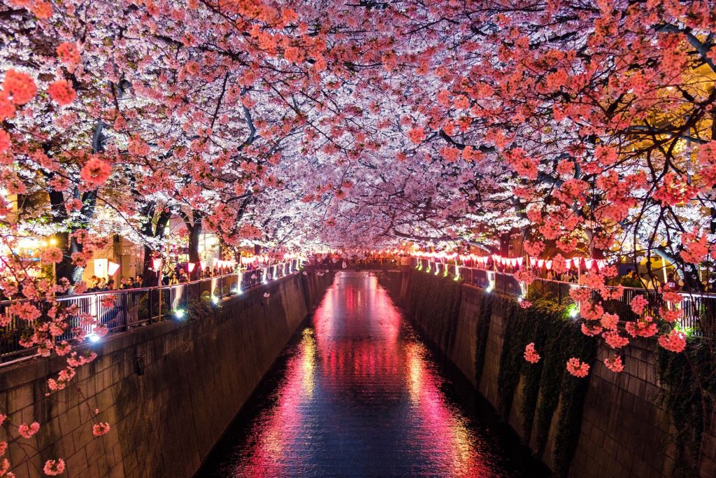 Japonya turistlere yarın tamamen açılıyor