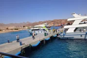 Cyprus Royal Tourism’den Sharm El Sheikh çıkartması