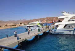 Cyprus Royal Tourism’den Sharm El Sheikh çıkartması